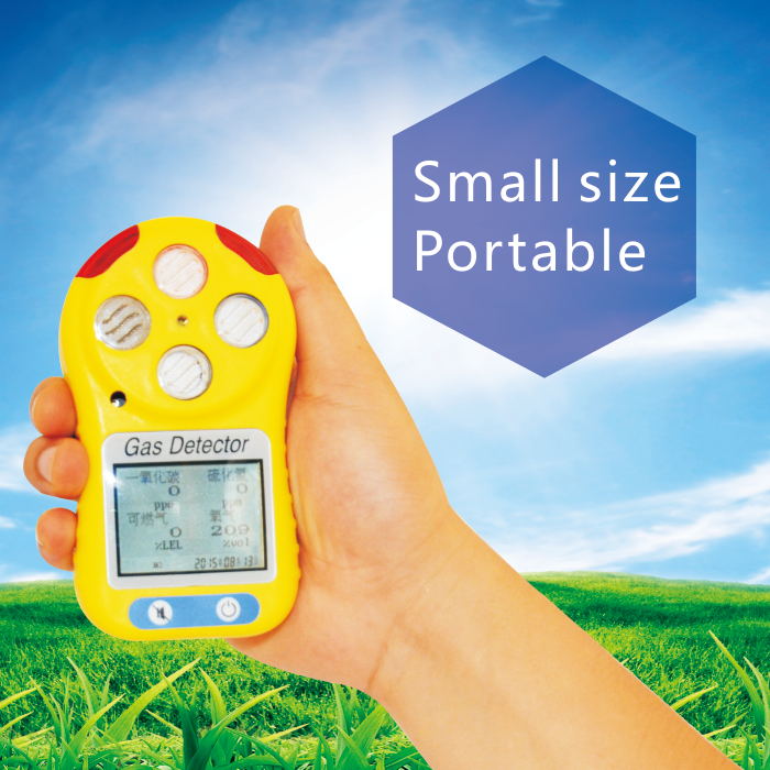 Portable Single Gas Detector